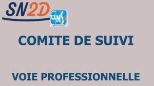 Comité de suivi de la Voie Professionnelle : le SN2D porte la voix du terrain face au Ministre