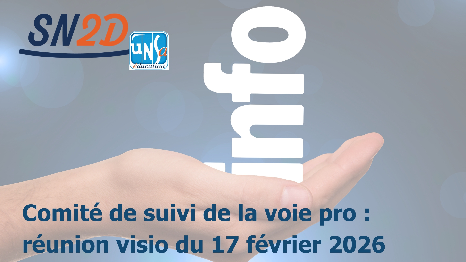 Compte-rendu de la réunion en visio du 17 février 2026 concernant le comite de suivi de la voie professionnelle